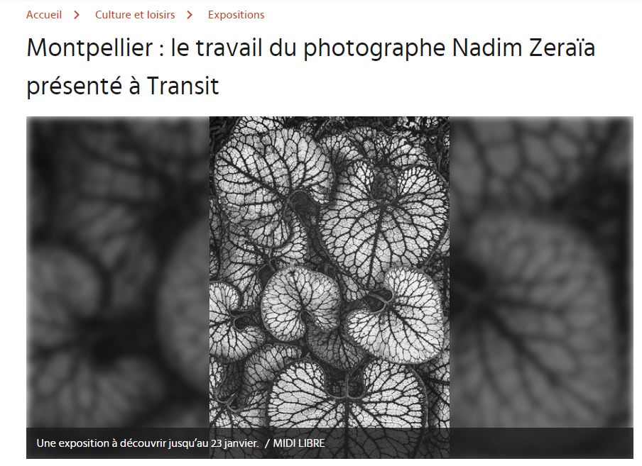 Photographie Nadim Zeraïa. Nos Films, Société de production vidéo et film à Montpellier.