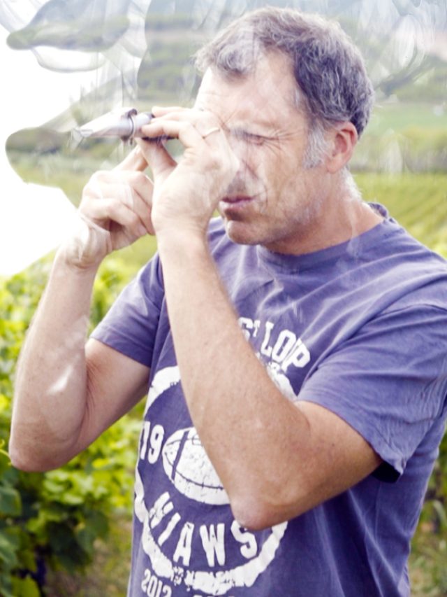 Une vinification au Chemin des rêves, Pic Saint-Loup, Grès de Montpellier (Occitanie)