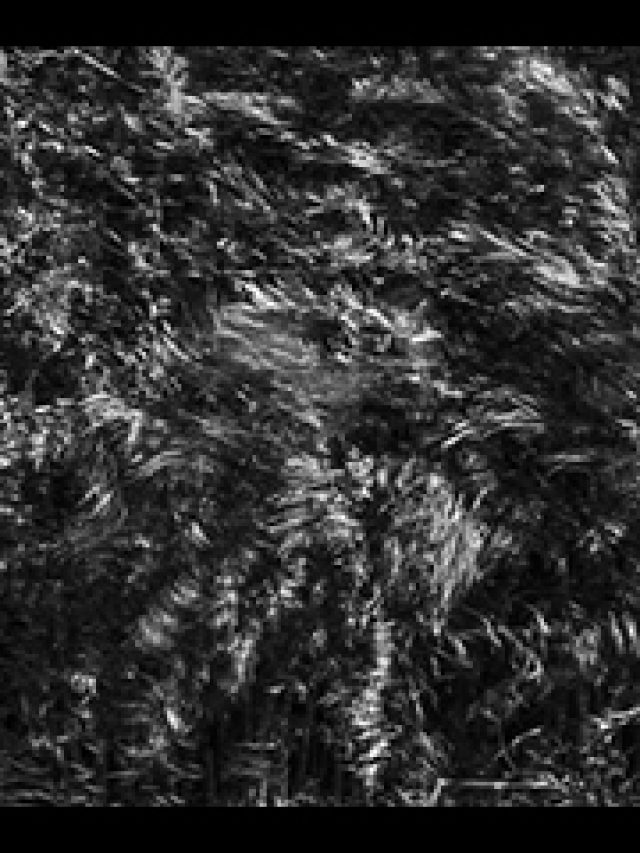 « Quelque part » une série photographique de Nadim Zeraïa